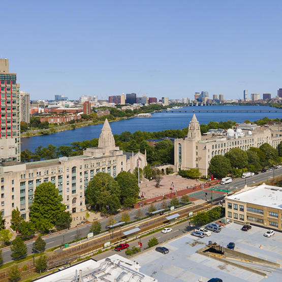Dentists looking at an x ray of teeth