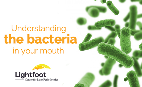 bacteria in your mouth